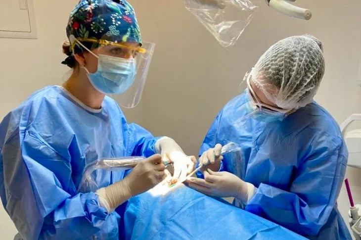 Dental Implant Procedure: How It Works and What to Expect?