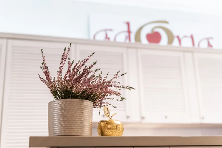 5-sagatavošanās-PRP-un-PRF-injekcijām